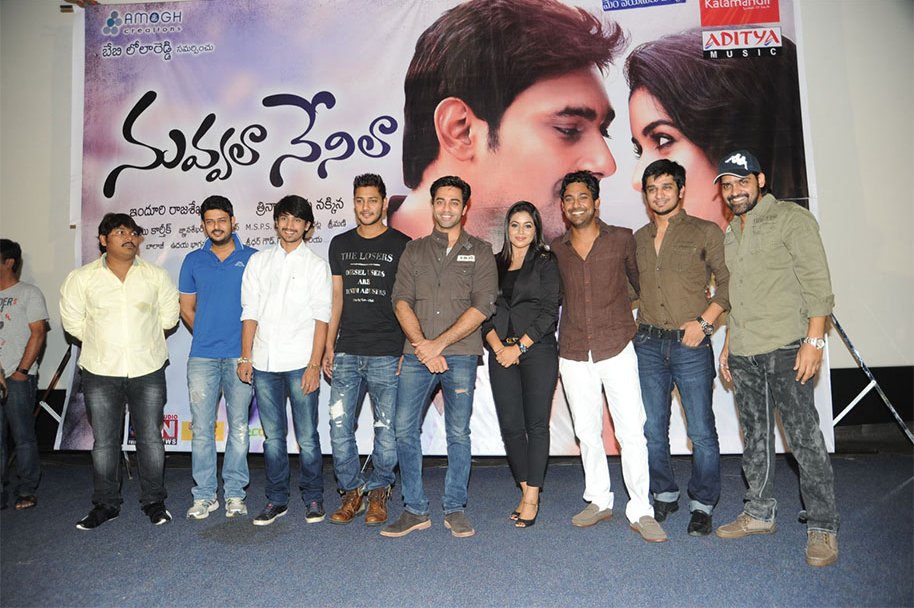 Nuvvala-Nenila-Audio-Launch